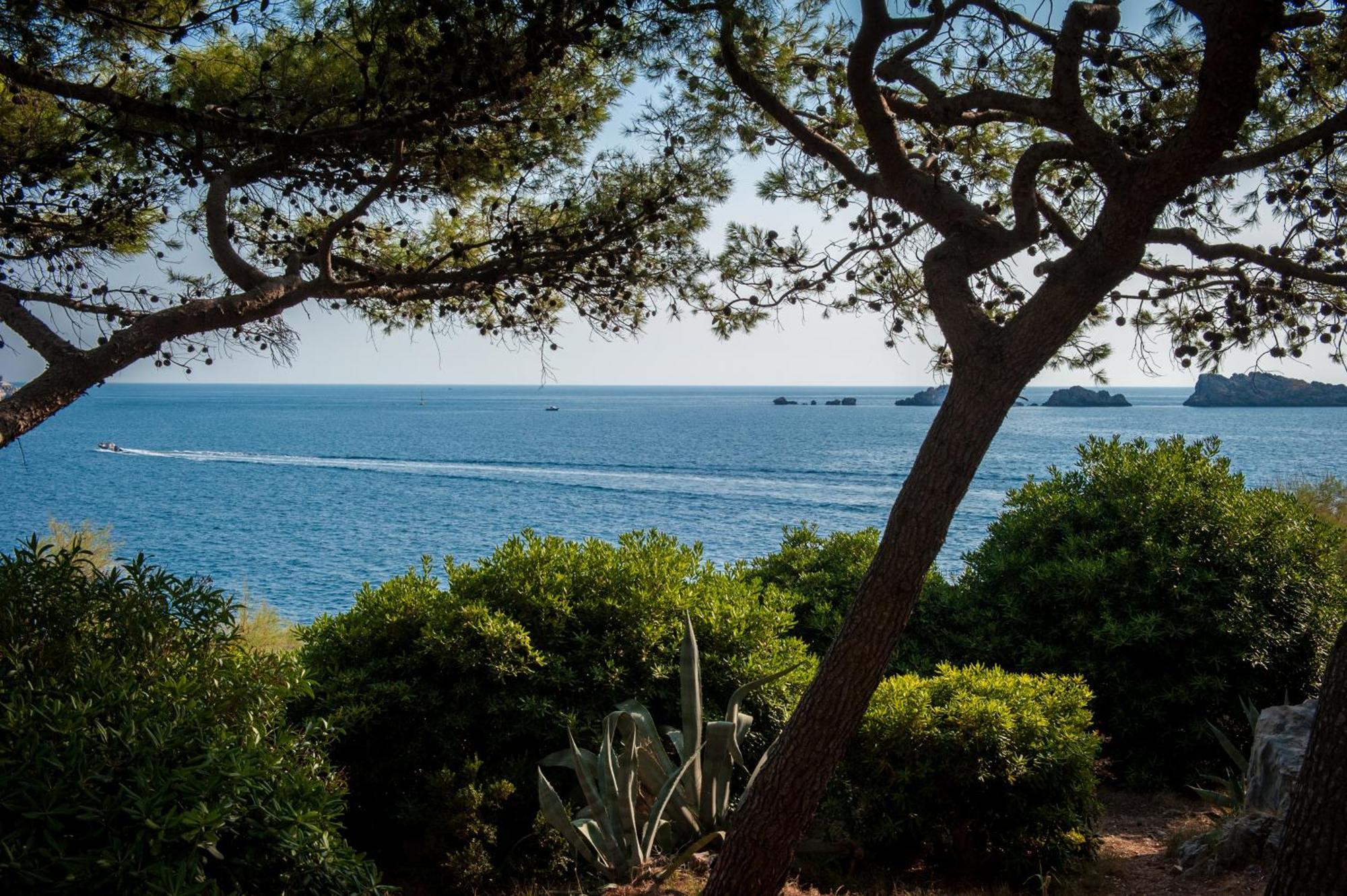 皇家公主酒店 杜布罗夫尼克 外观 照片 View of the sea from the park